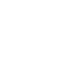 Royalty Fees
